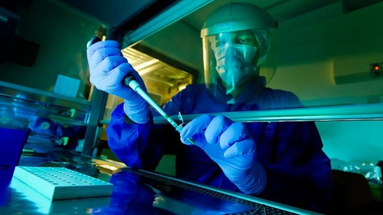 Gracias al ADN, ya es posible saber quién llevó este colgante de hace 20 000 años