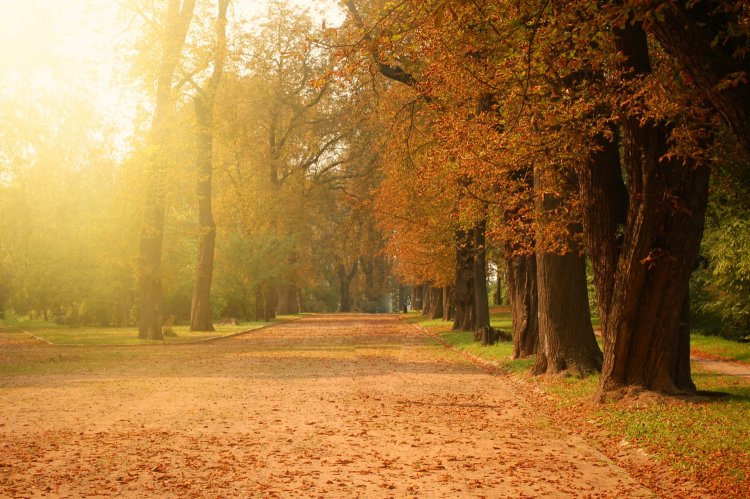 Cambios de temperatura: Cómo cuidarse en una época del año de clima cambiante!