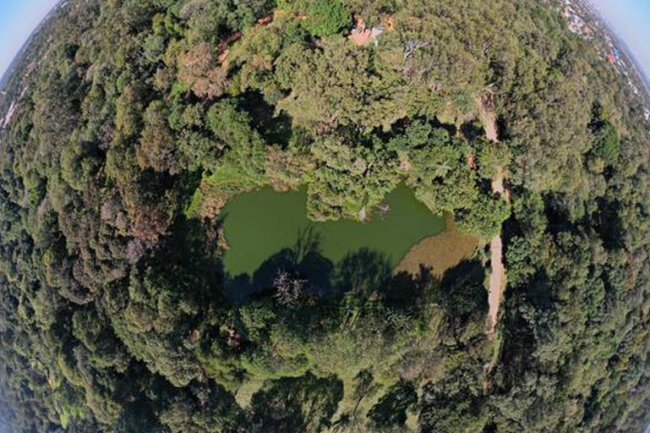 El Botánico de Asunción necesita cuidado y apoyo para preservar su pulmón verde!