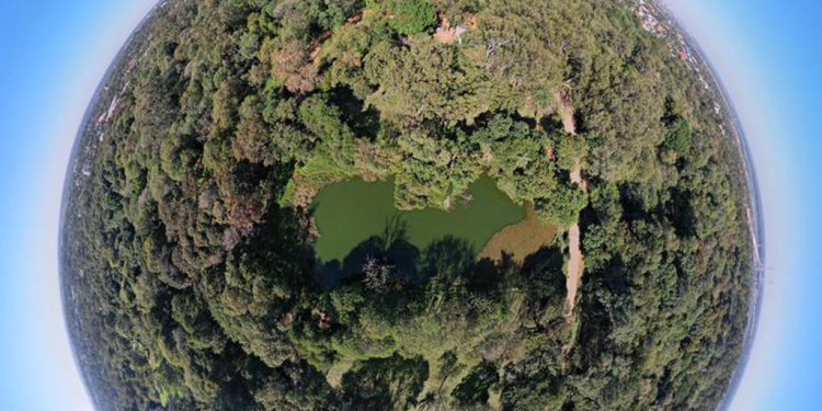 El Botánico de Asunción necesita cuidado y apoyo para preservar su pulmón verde!