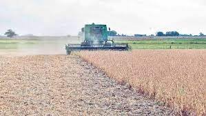 Expansión Exportadora: Seis Productos Paraguayos Conquistan Nuevos Horizontes en el Mercado Internacional en Febrero