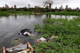 Un Llamado Urgente a Limpiar Paraguay y Preservar su Belleza Natural