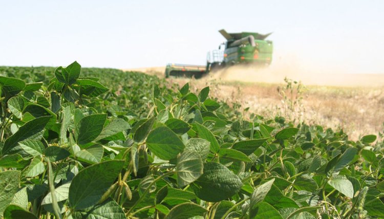 Perspectivas agrícolas: balances y esperanzas tras una temporada desafiante