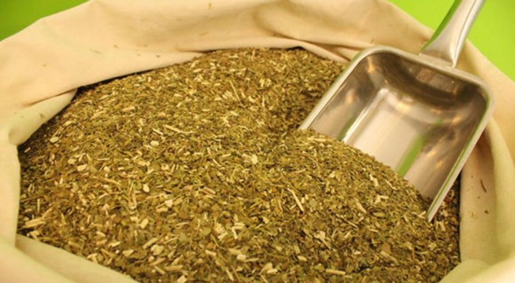 Paraguay Conquista el Mercado Sirio con Exportación de Yerba Mate Industrializada