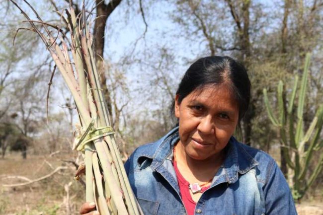 El Arte Textil de las Mujeres Ayoreo se Exhibe en Asunción