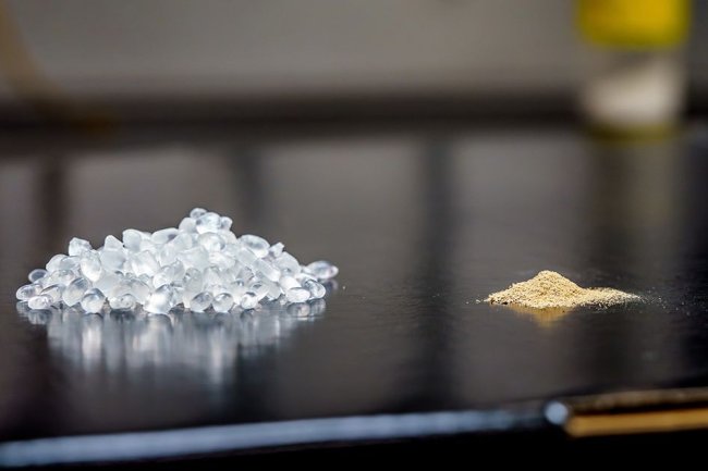 Desarrollan Plástico Biodegradable con Esporas Bacterianas que Se Autodegrada en Diversos Entornos