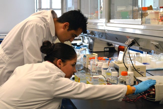 Corea y Paraguay fortalecen lazos en biomedicina con el seminario K-BIOMEDICAL 2024