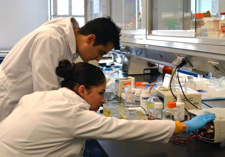 Corea y Paraguay fortalecen lazos en biomedicina con el seminario K-BIOMEDICAL 2024