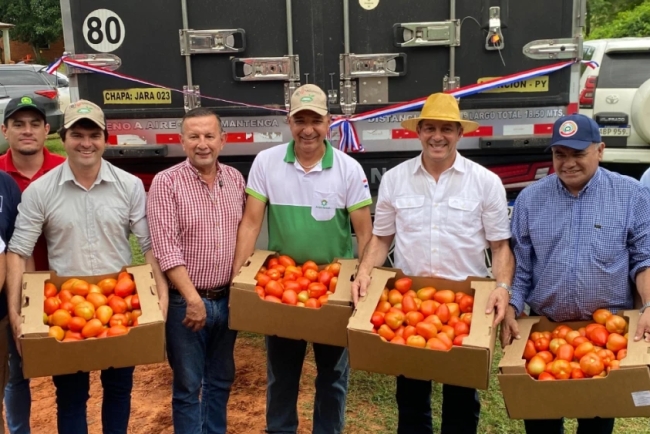 Paraguay abre camino a la exportación de tomate a Argentina y se prepara para Brasil
