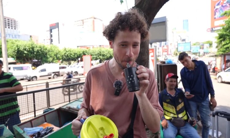 Día Nacional de la Yerba Mate: Tradición y Desafíos en el Consumo y Comercialización