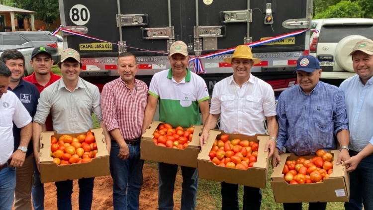 Paraguay abre camino a la exportación de tomate a Argentina y se prepara para Brasil