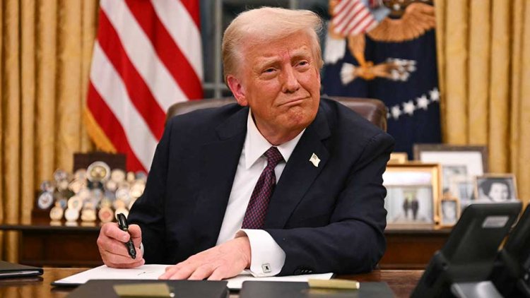 Trump, Biocombustibles y la Soja: Factores Clave que Redibujan el Mercado Global