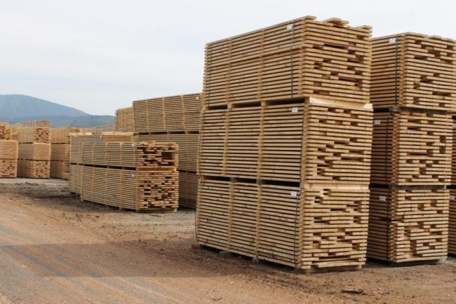 Importación y Exportación de Productos Forestales en Paraguay: Datos de Enero 2025