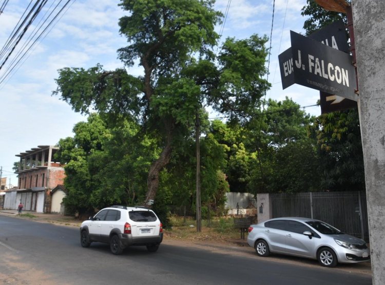 José Falcón: Guardián de la Memoria Nacional y Defensor del Territorio Paraguayo