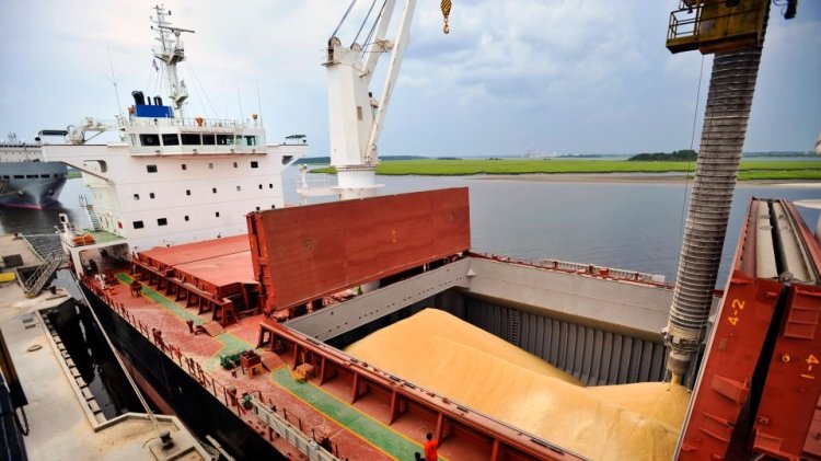 Soja en Paraguay: Descuentos Reducen la Rentabilidad y Desafían a los Productores