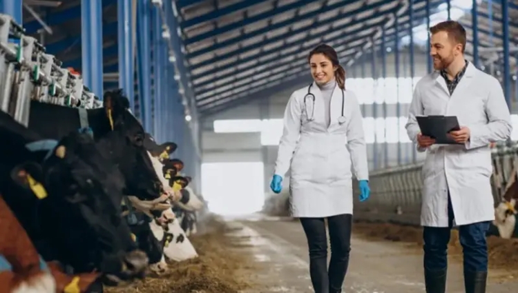 Genética bovina paraguaya en ascenso: exportaciones récord y nuevos mercados en negociación